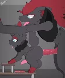 Zorak and Zorua