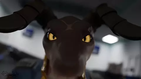 Bom Bom Bom