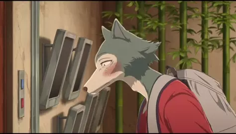 Legoshi’s addiction