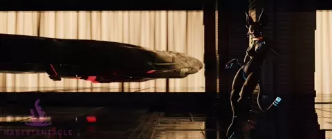 space cat