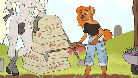 Horse Breaking