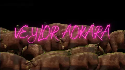 Cammy WHITE VS +100 PIGS