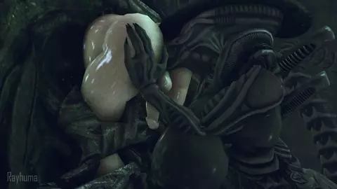Xeno Dinner