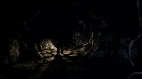 The Argonian Thief