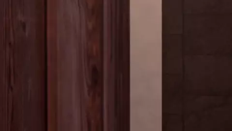 Spying on Aunt Cass