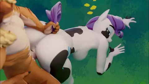 Rarity