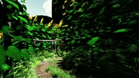 Sunflowers!