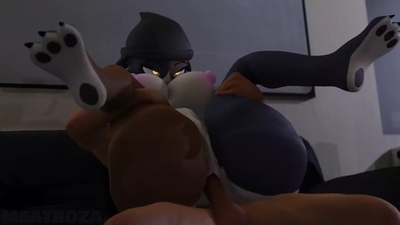 Meowskull Compilation